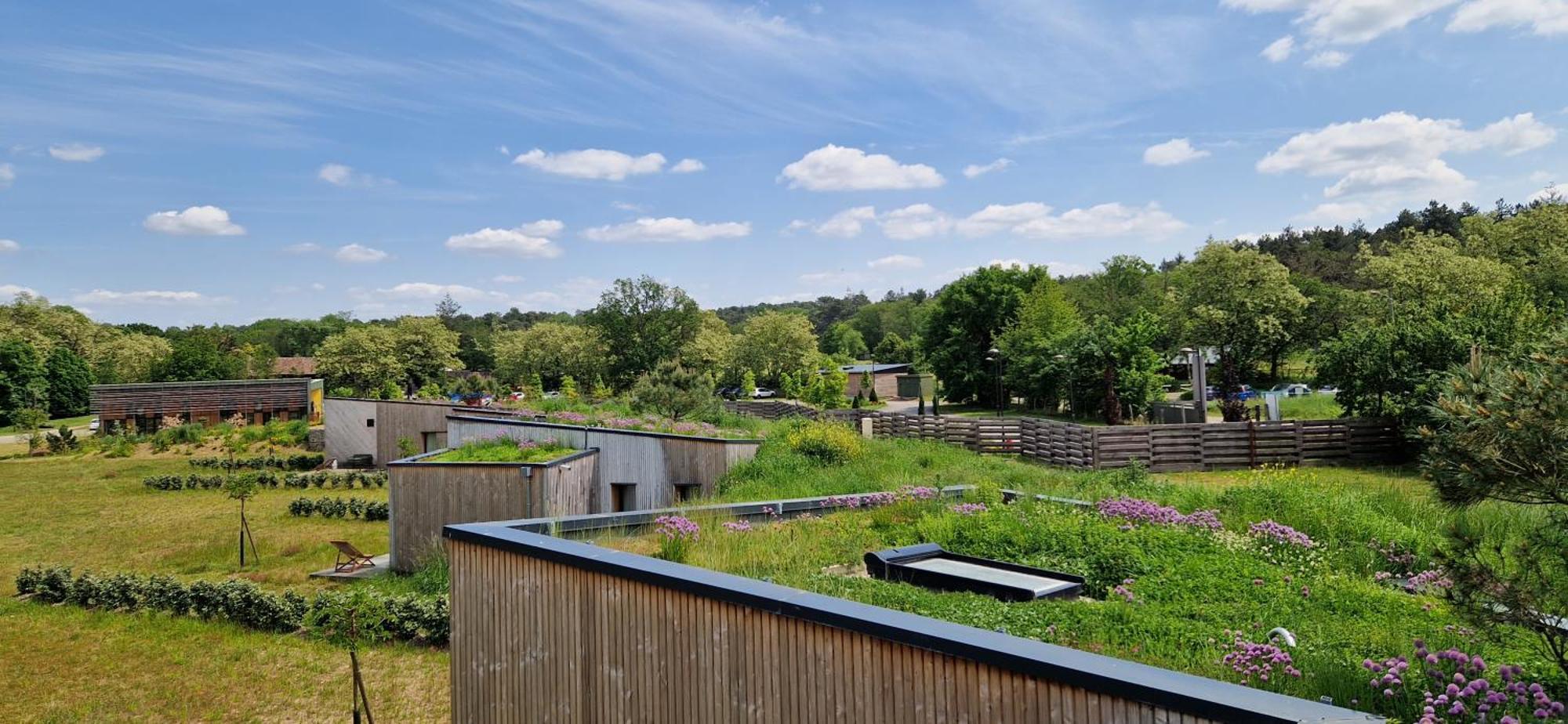 Domaine De L'Epau Eco-Resort Yvré-lʼÉvêque Zewnętrze zdjęcie